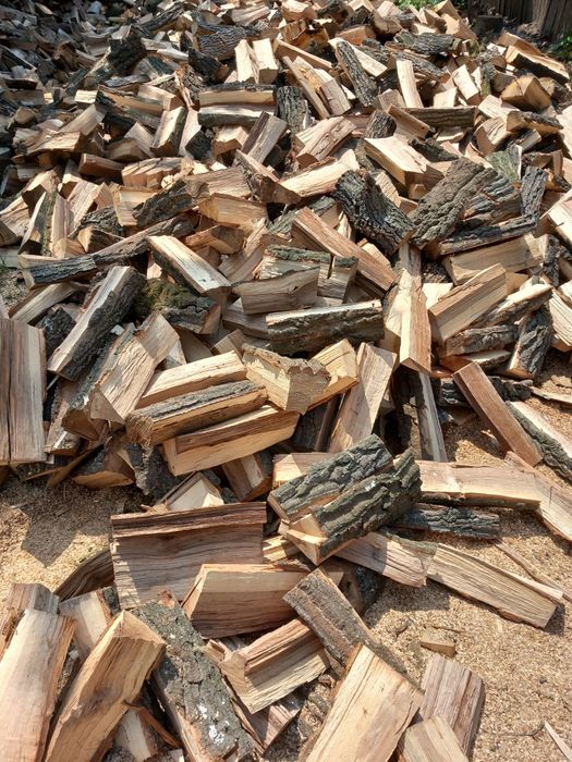 Lemne foc Salcam si Stejar