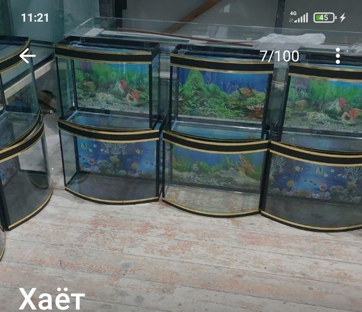 Akvariumlar bor .