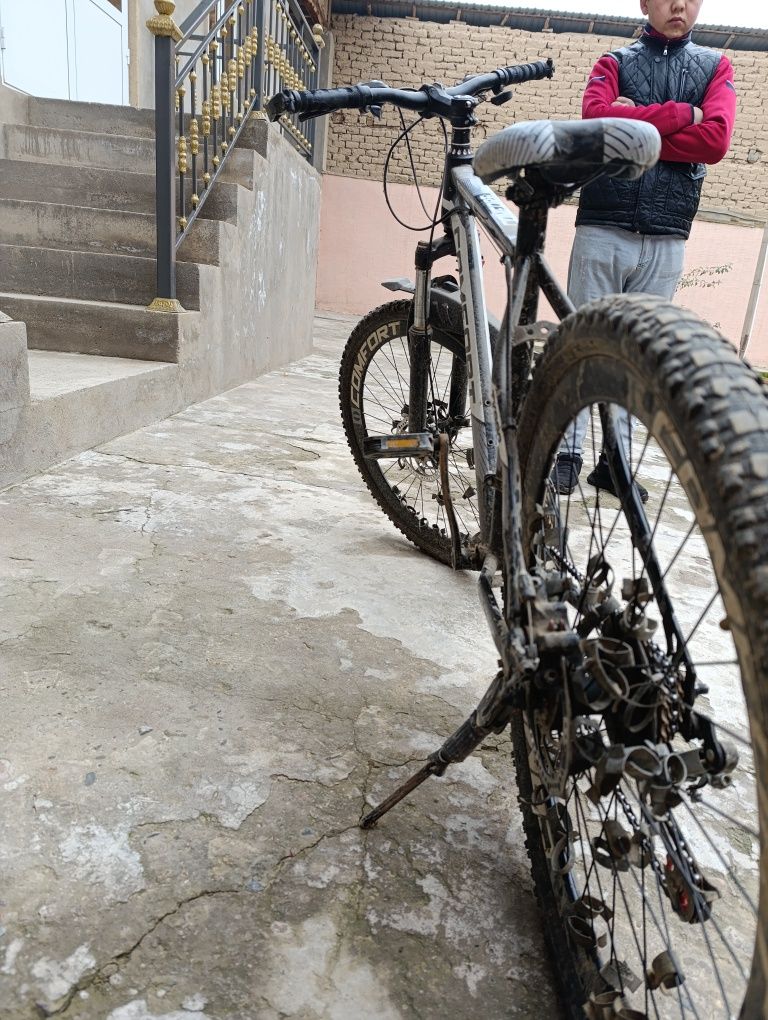 Velosiped comfort
