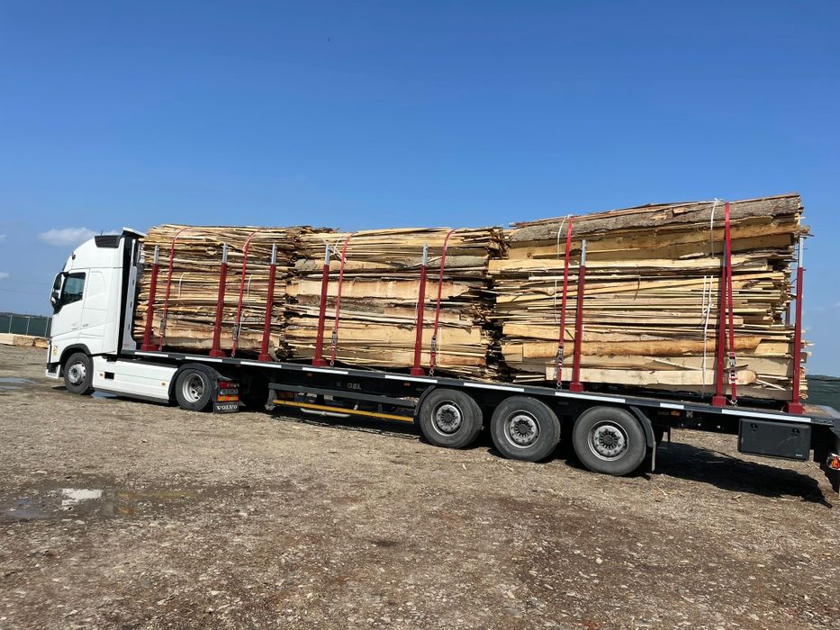 Cherestea LATUROAIE rasinoase