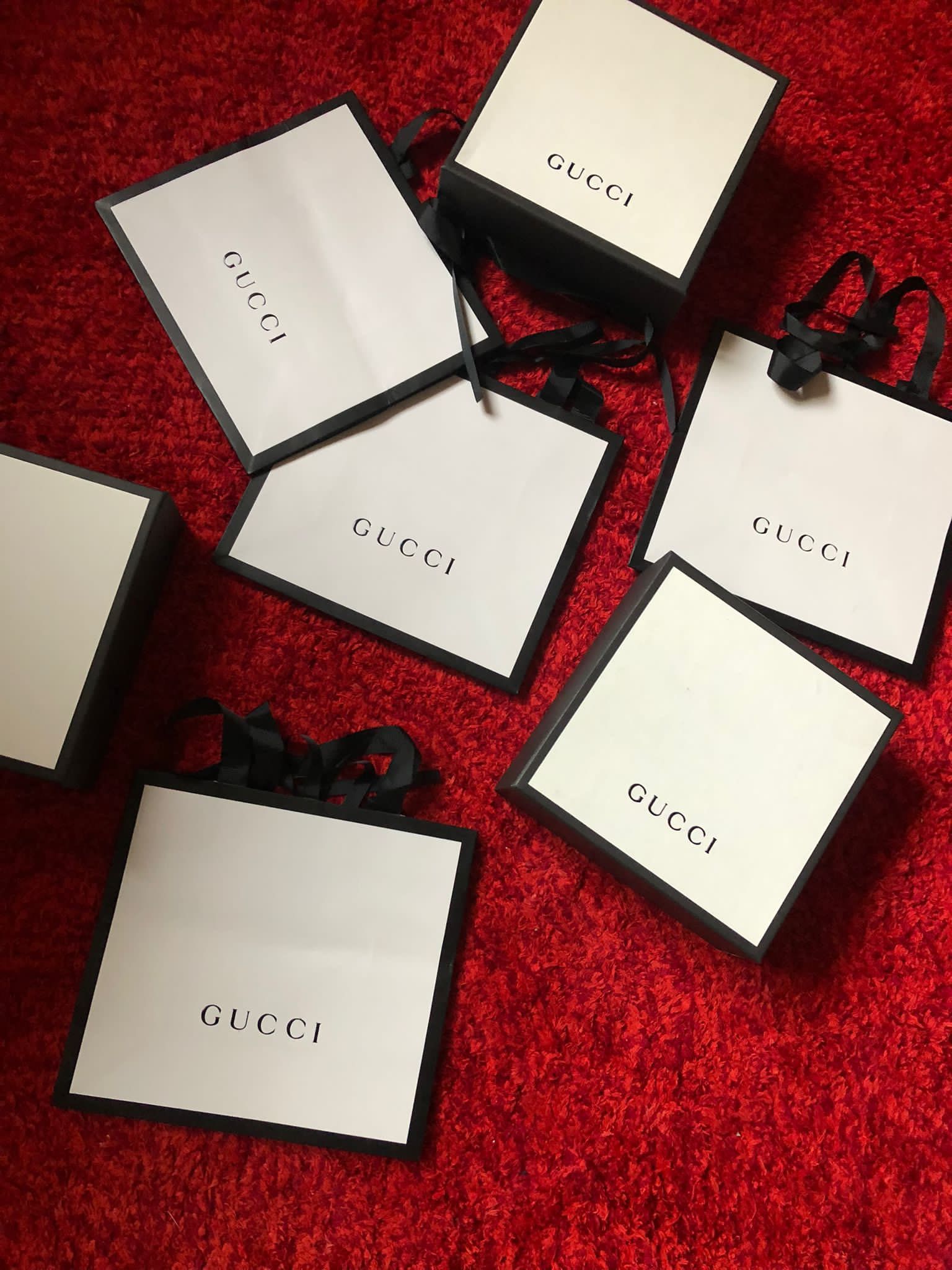 Cutie Gucci punga cutii pungi noi