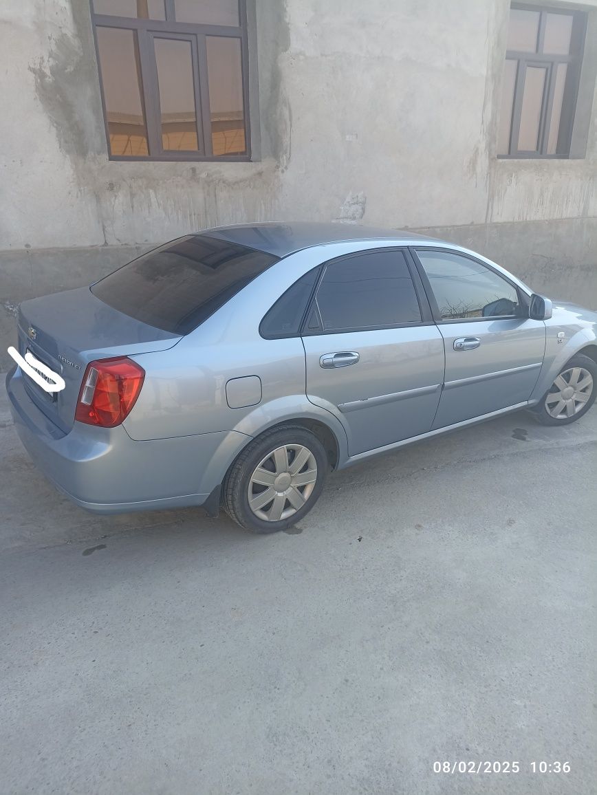 Delfin jentra bor xolati zor