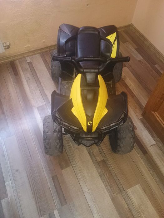 Vand atv electric copii