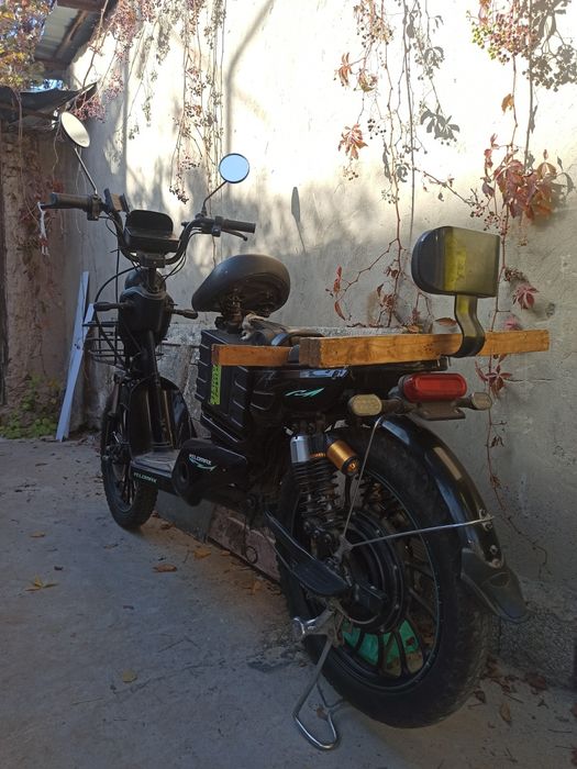 Velik sotiladi narxi 1 milion 700. ming