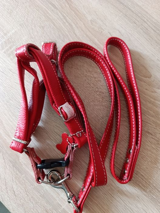 Ham și lesă ptr câini din  piele naturală