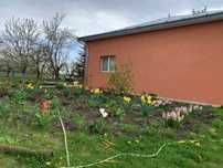 Casa cu grădină .