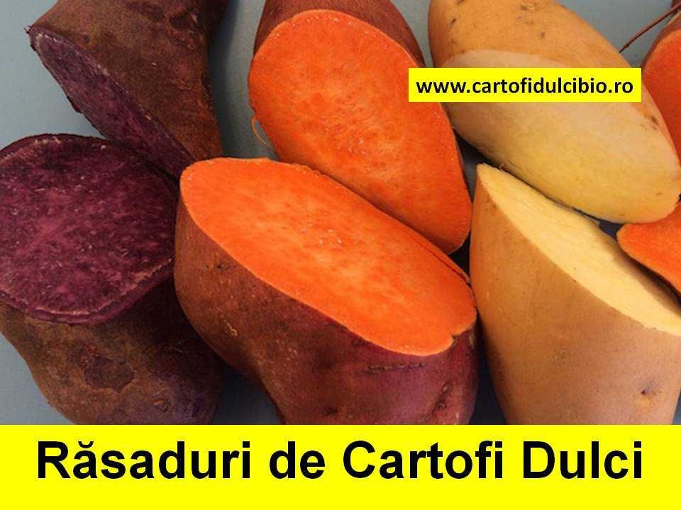 Răsaduri de Cartofi Dulci!