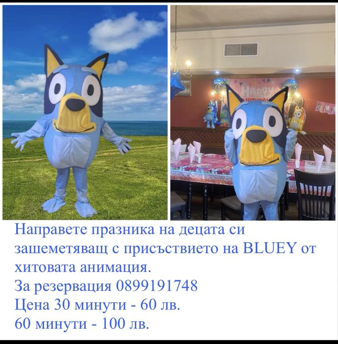 Посещение на парти с костюм Bluey.
