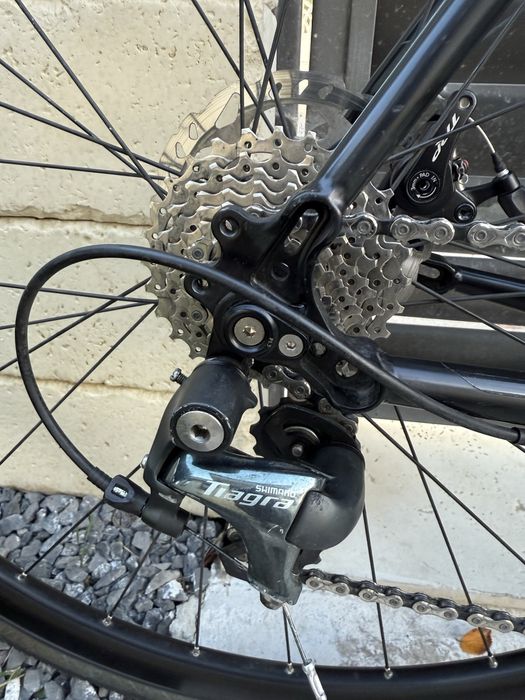 Genesis Equilibrium - otel/carbon