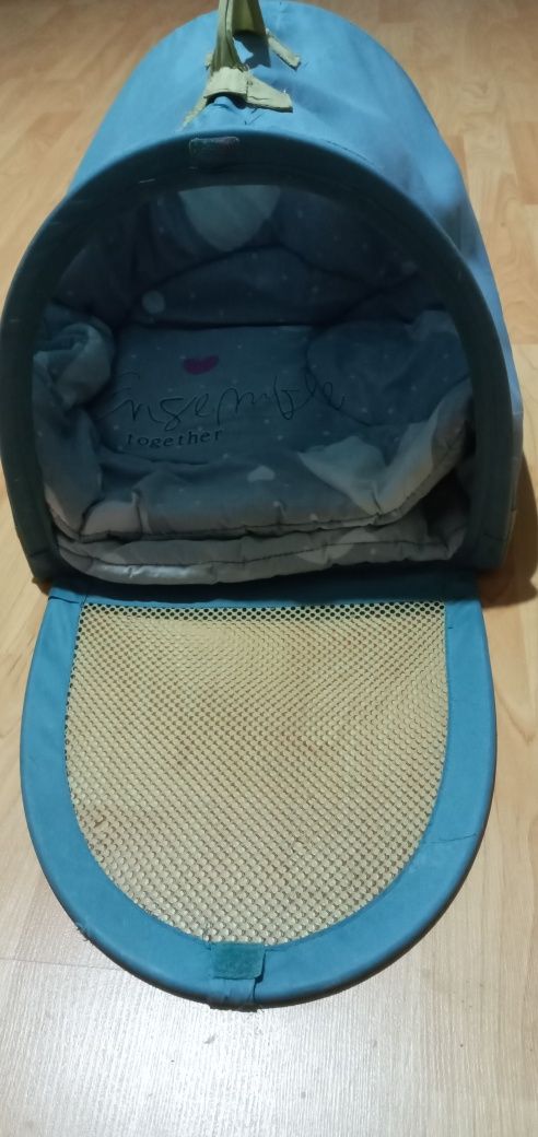 Домашние животные