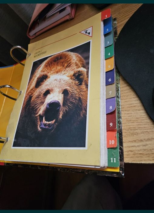 Cartea Minunata lumea animalelor