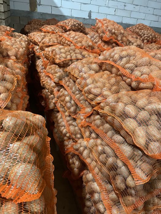 Cartofi consum in cantitate mare