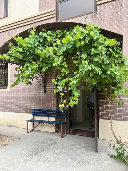 Срочно продается квартира 2/2/4 в Олмос махалле 60ка.м 60000$