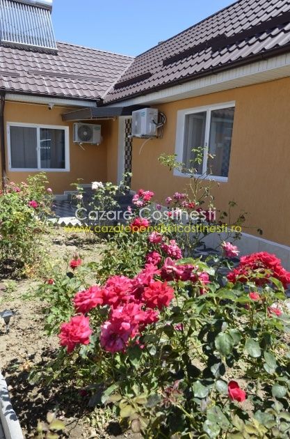 Casa proprietar costinesti