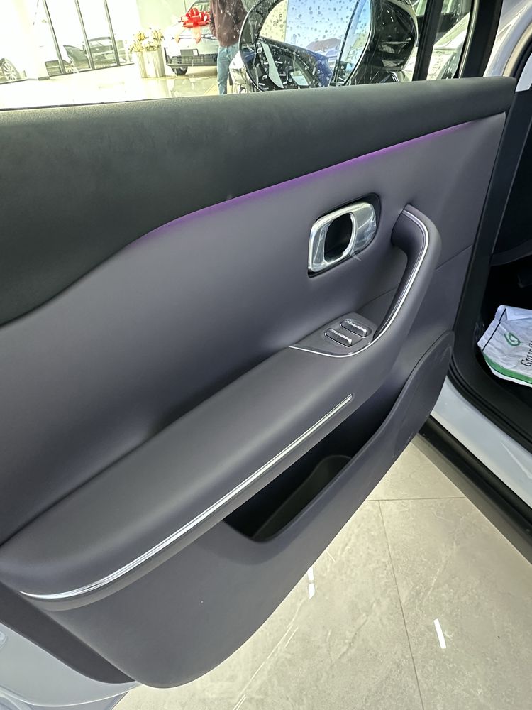 LeapMotor C10 hybrit