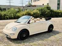 Volkswagen Beetle 1.9TDI-EURO4-101cp-2004