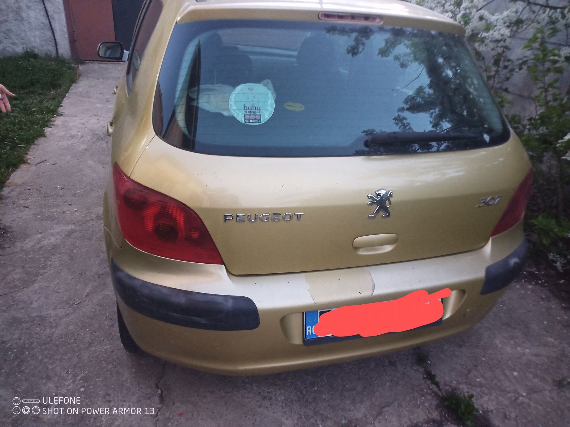 Diverse Peugeot 307