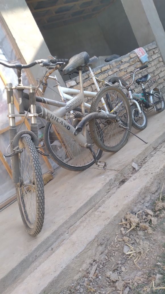 Veloseseped bu .