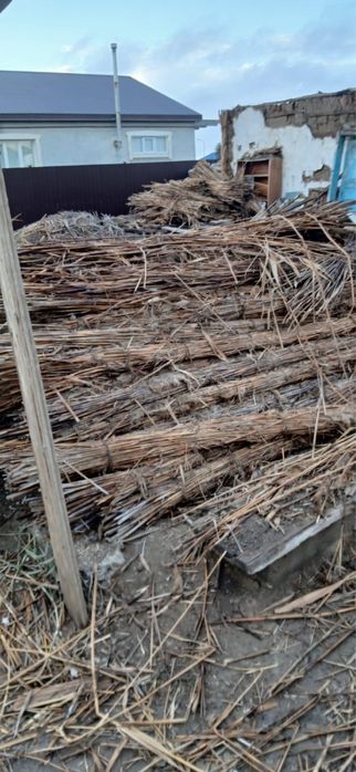 Камз одам даром беслп