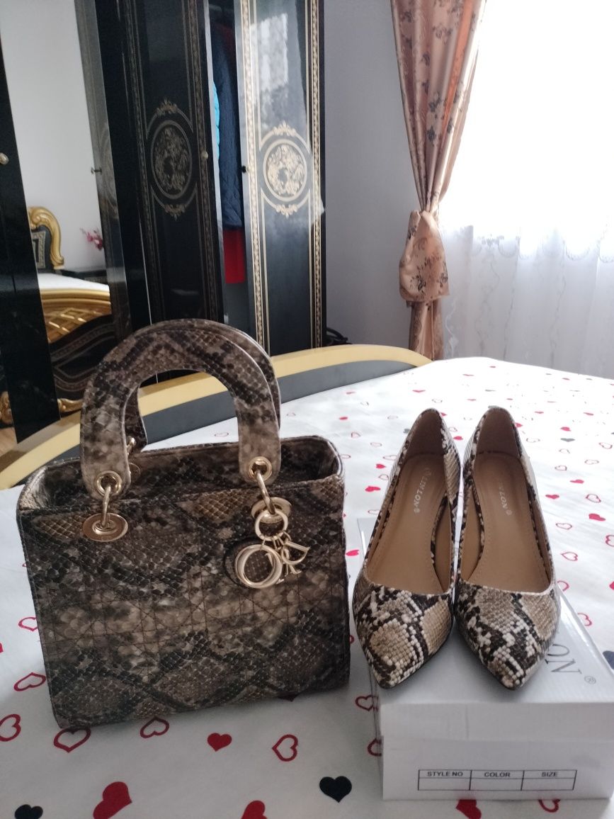 Set piele geantă+pantofi Dior