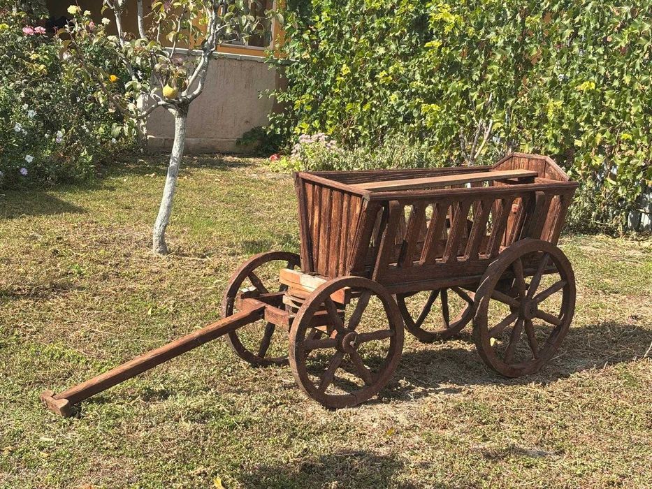 Car Decorativ pentru gradina