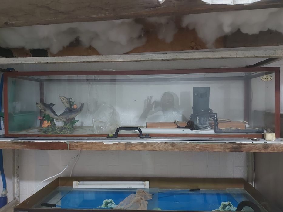 Продаю аквариум 120 литров