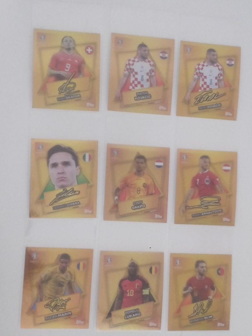 Stickere Euro 2024 Premier League 24 25 UCL 24 25 Club world cup