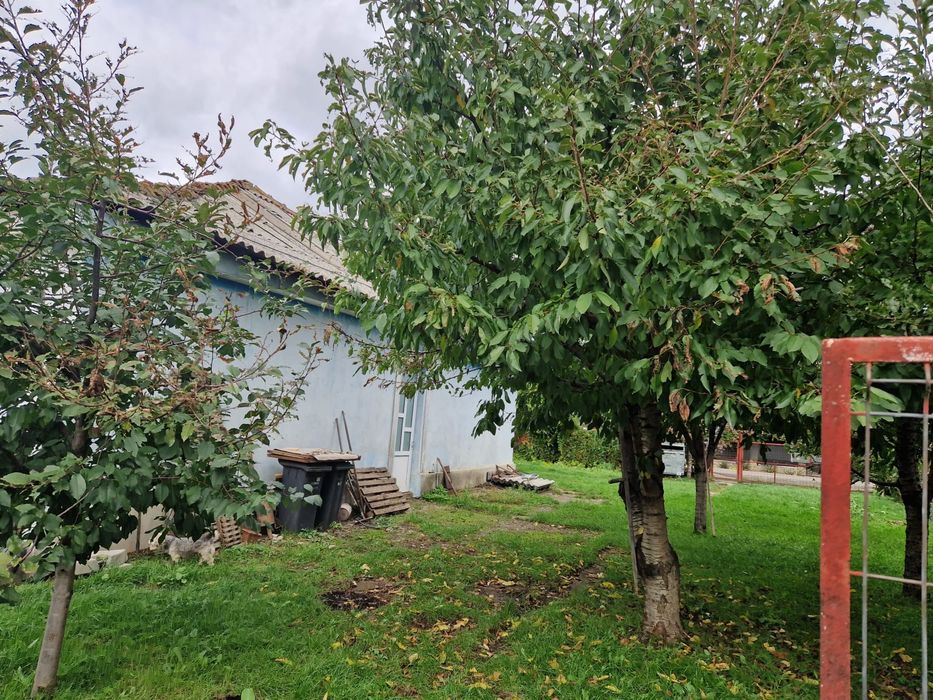 Clădire și teren