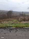 Teren intravilan cu CF, 1000 mp, sat Giula