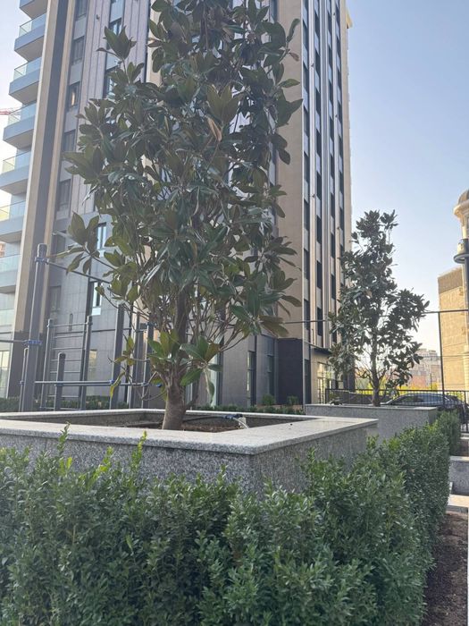 Срочно продается 2х комнатная квартира новостройка ЖК Darkhan Avenue