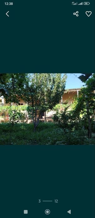 Кармана тум Ховли Сотилади