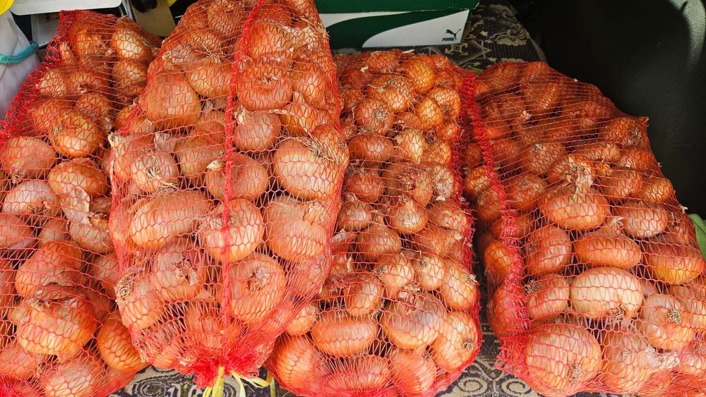 Лук и балучка на гаци