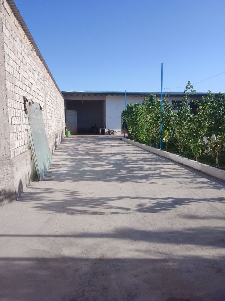 Ferma Sotilad 26,5 sotix