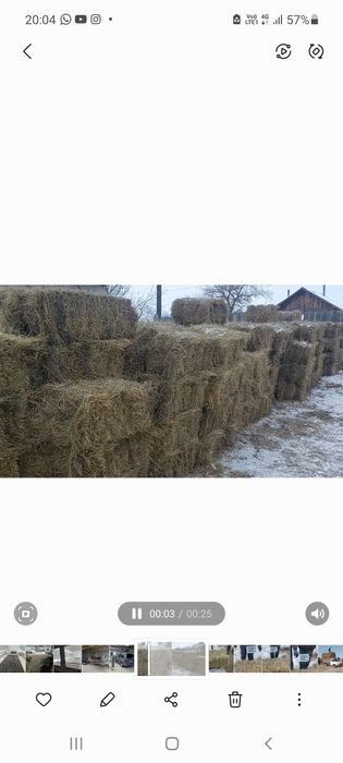 Продам сено степное