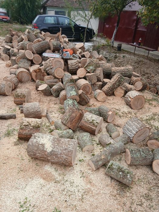 Tai lemne arad șin tot judetul.arad