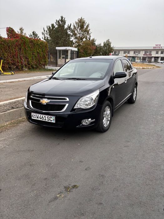 Cobalt, Кобальт Darkmoon 2023 Тоза