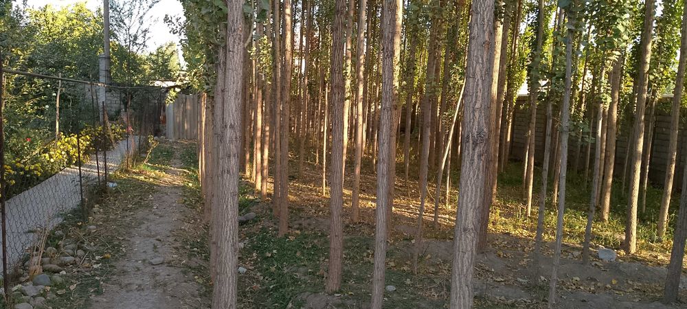 Участок сотилади. Янги  Куйлик бозори тарафта .