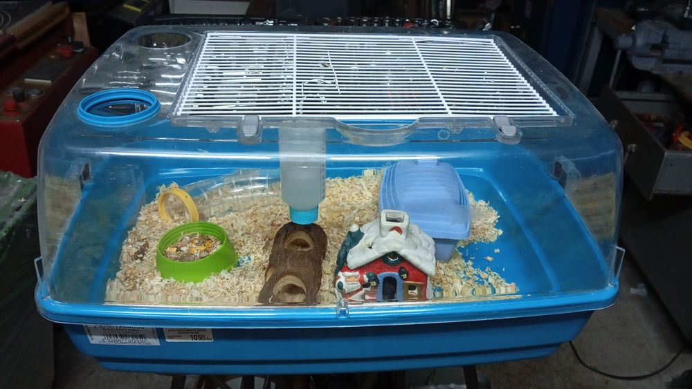 Hamster cu cușcă 3 buc