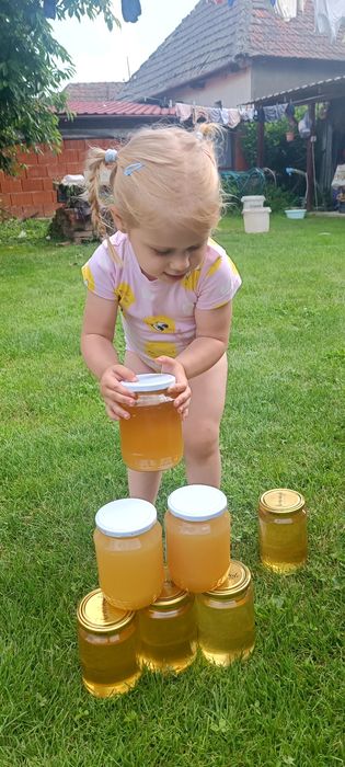 Miere de salcam / rapiță / poliflora