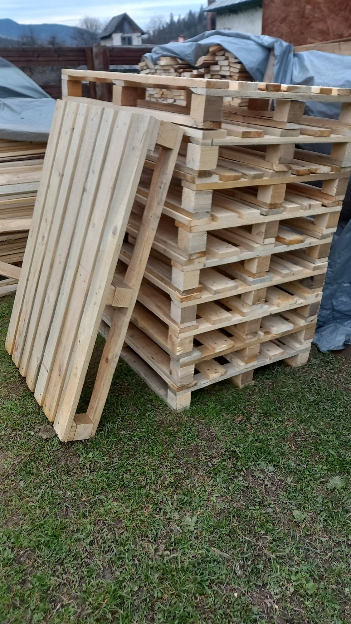 Vând paleți euro/non euro 1200x800