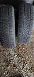 Зимни гуми Firestone Winterhauk 195/65/15
