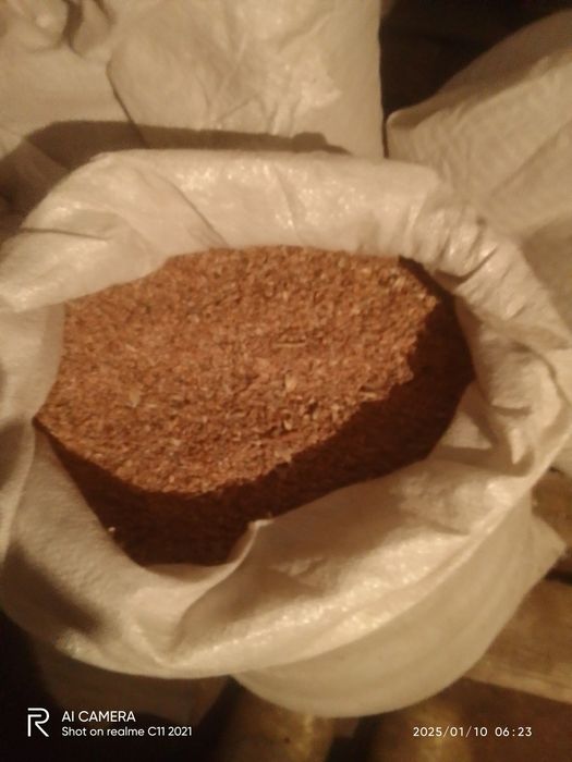 Зерно пшеницы для курей