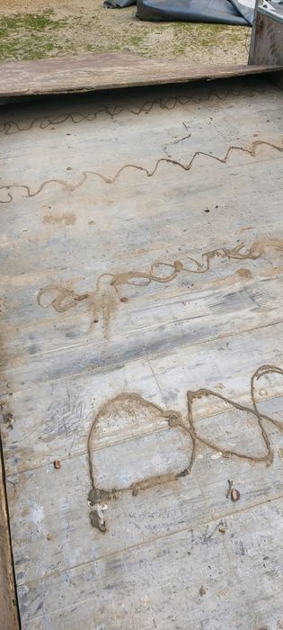 Remorcă flamingo trailers 2 tone