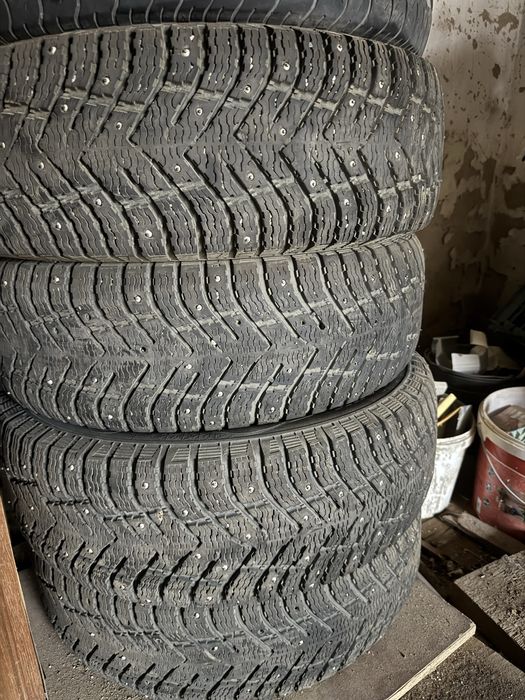 Донгелек камриде тускен буу