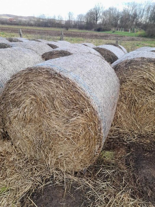Baloti paie de grau