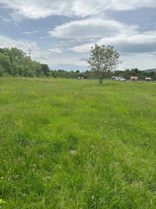 Teren de vanzare sighet