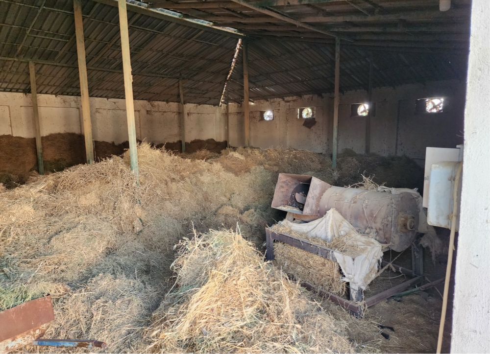 MOLXONA! 1,6 Gektar yermaydoni bo'lgan barcha sharoitlarga sotiladi
