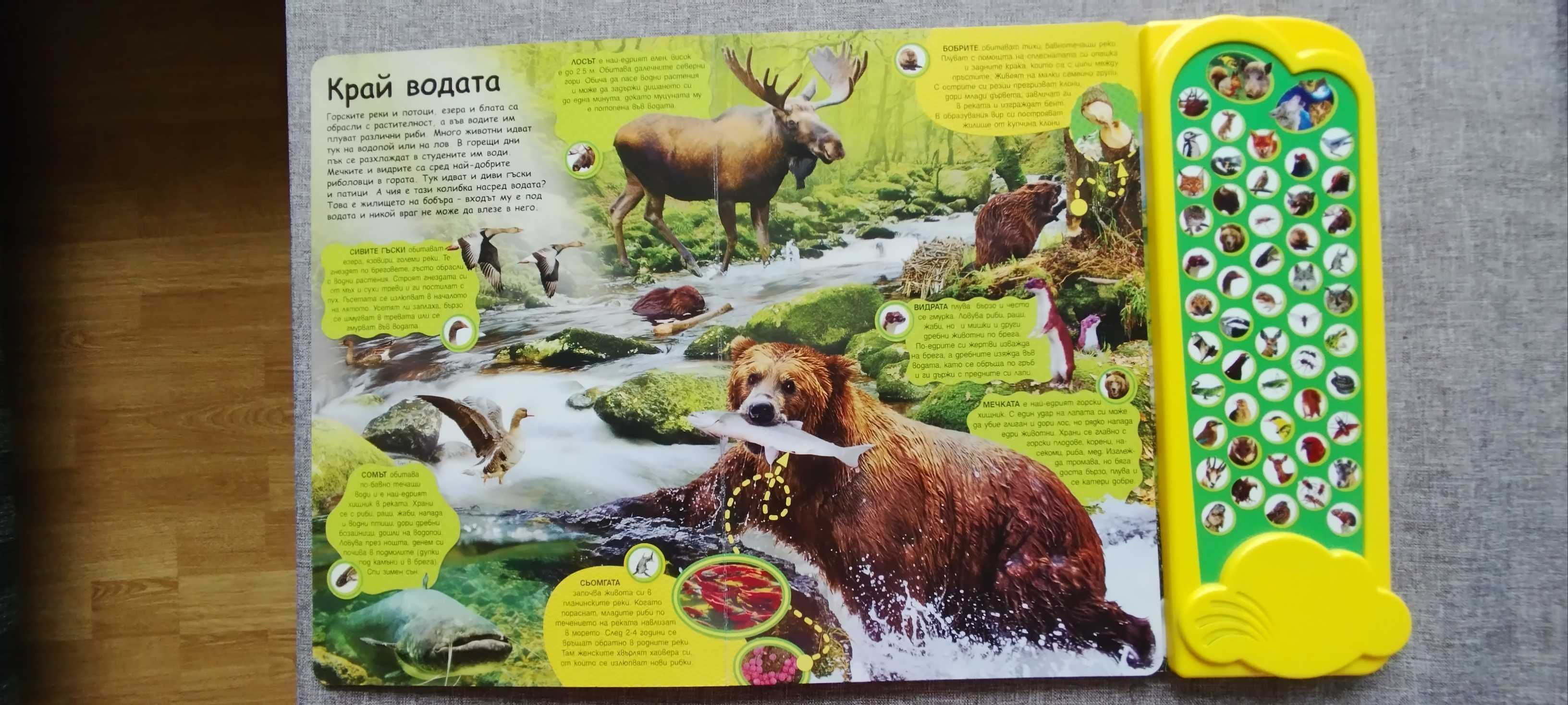 Детски книжки със звуци