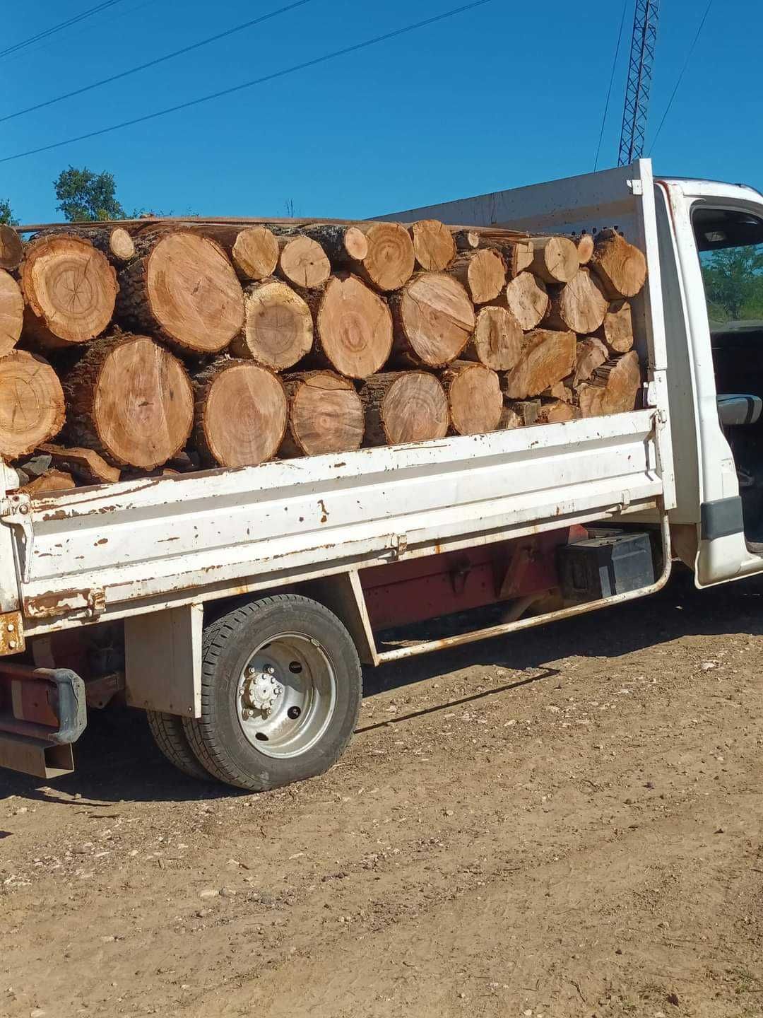 Lemne de foc  de  esenta tare