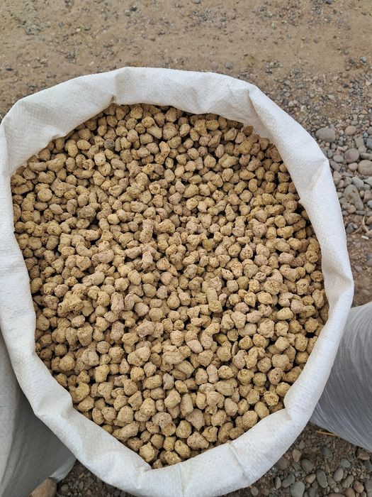 Экструдер ем  пишган ем